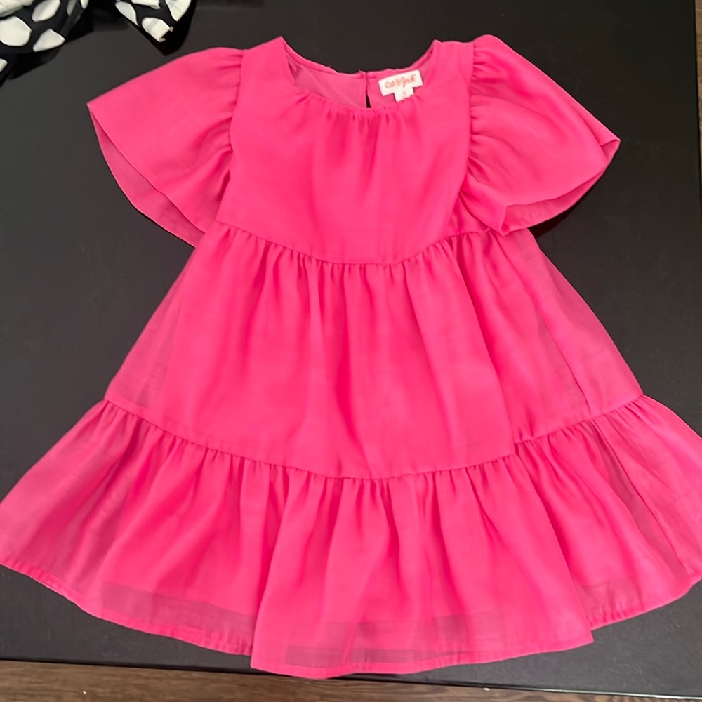 Hot Pink Cat and Jack Organza Dress - 4T